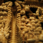 Natural thumbnail 1