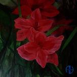 flores thumbnail 1