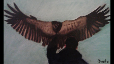 Águila coronada