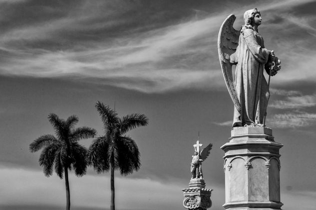 Cementerio de Colón 1 Viajes Color (Digital)