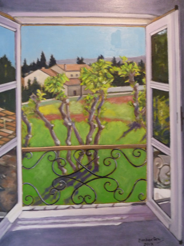 vista de un jardin desde una ventana