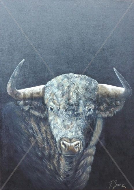 Novillo-toro