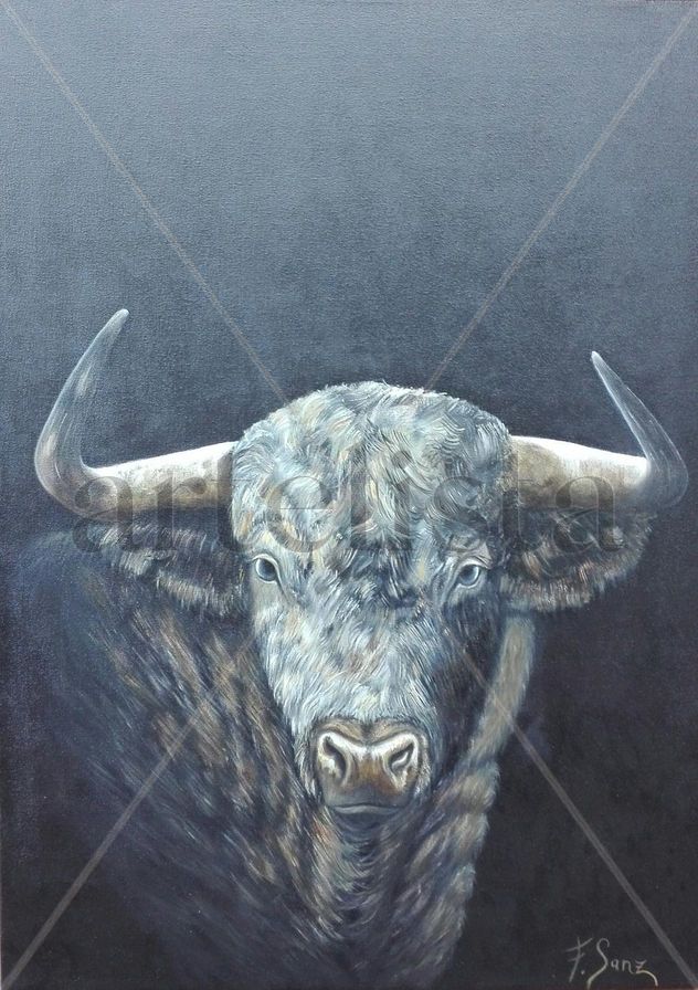 NOVILLO-TORO