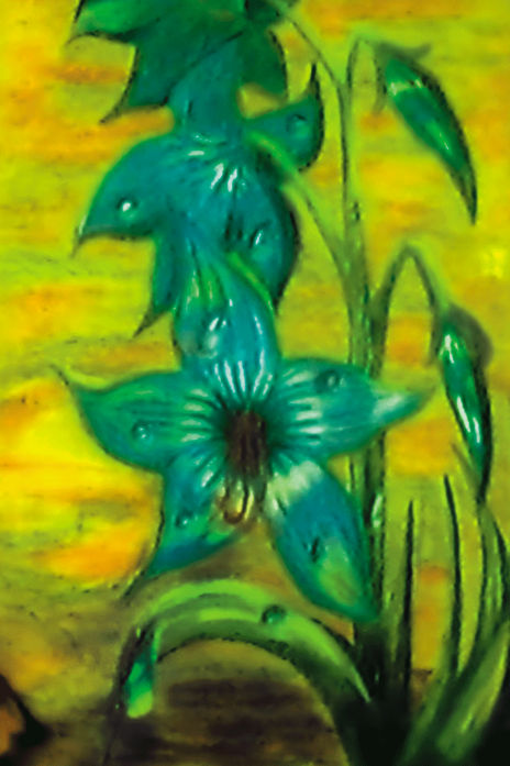 Flor de frescura