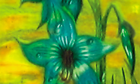 1996