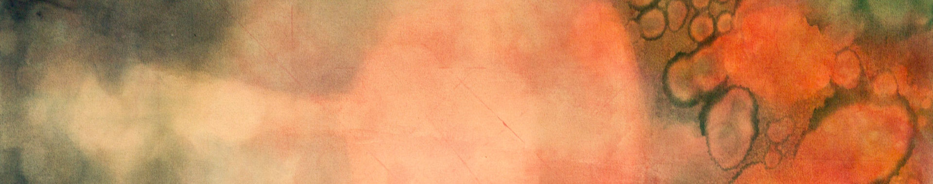 Imagen de portada