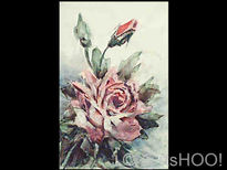 Rosas