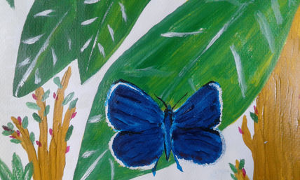 Mariposas