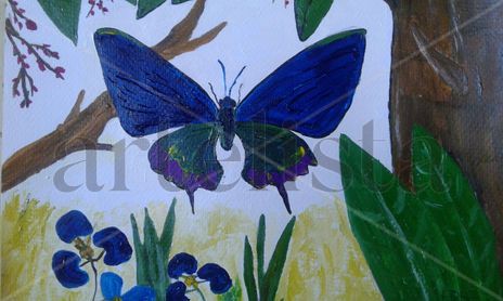 Mariposas, dos