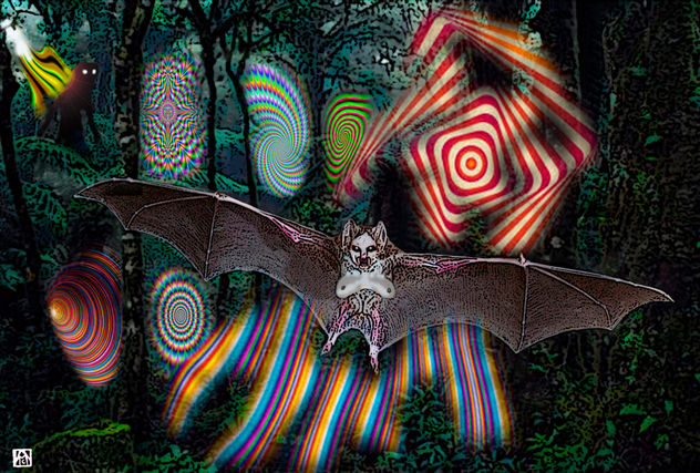 El enigmatico vuelo de la Japiñuñu y el comienzo de la visualización de  los 7 portales dimensionales abiertos
