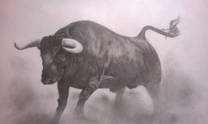 Toro de lidia 1
