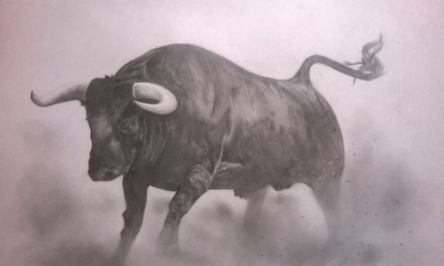 Toro de lidia 1