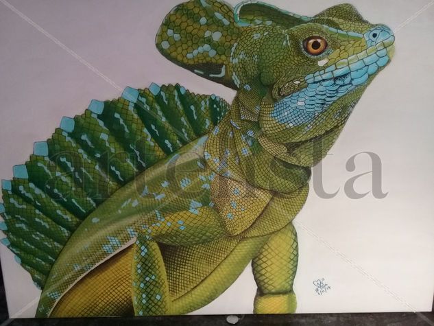 basiliscus Acrylic Canvas Animals