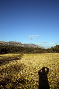 Paisaje y sombra