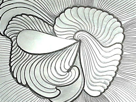 Brandon 6