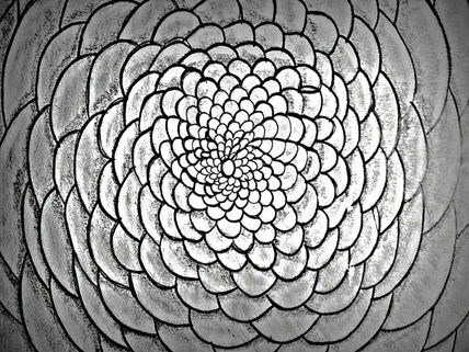 Flor de roca
