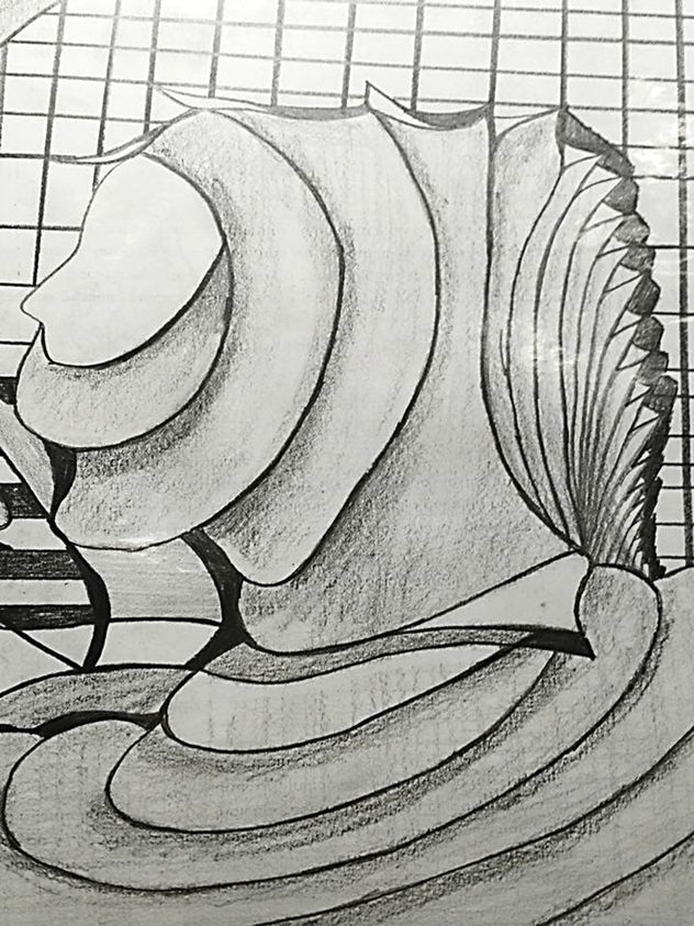 SINROSTRO