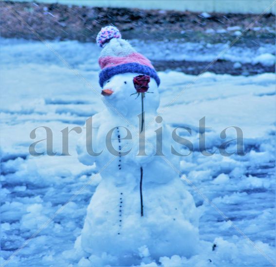 I wish you a Merry Christmas Naturaleza Color (Química)