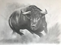 Toro  de lidia 2