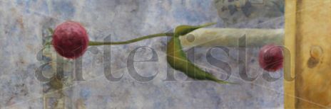 Flor d´allium