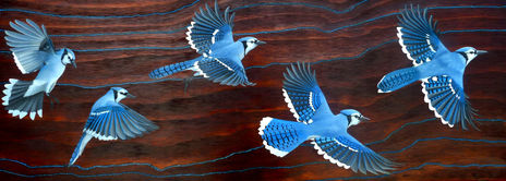 The blue jays