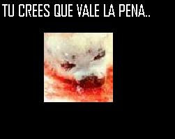victimas inocentes de la moda