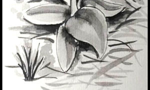 Orquídeas I