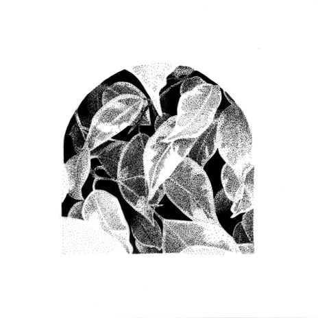 Garden N.1