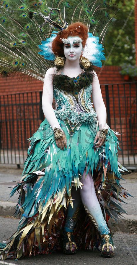 Queen of birds