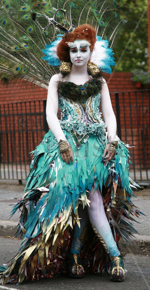 queen of birds