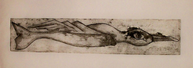 Metamorfosis I. 4/12 Etching Process