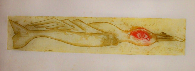 Metamorfosis I. 6/12