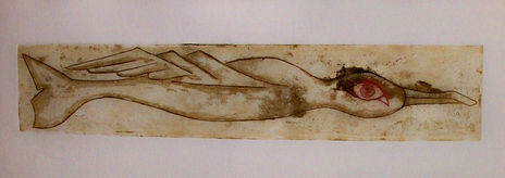 Metamorfosis I. 8/12