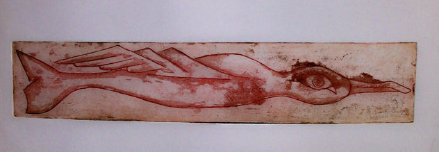 Metamorfosis I. 12/12