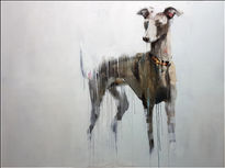 Galgo 4