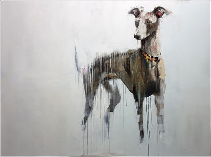 Galgo 4