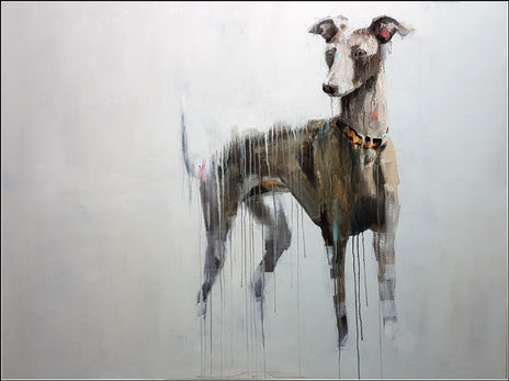 Galgo 4