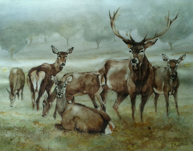 Tiempo de berrea