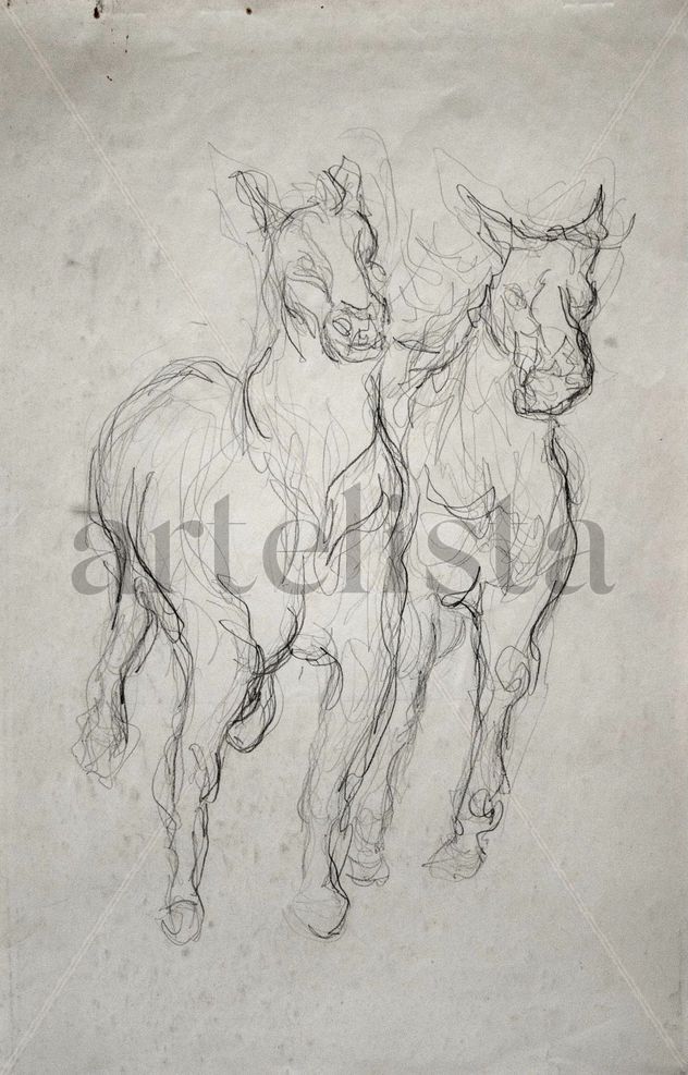 CABALLOS 2