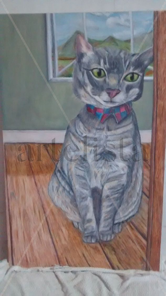 gato a travez del espejo
