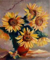 Girasoles mimosos