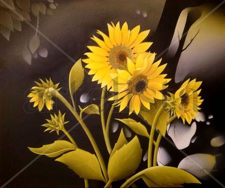 GIRASOLES AL...