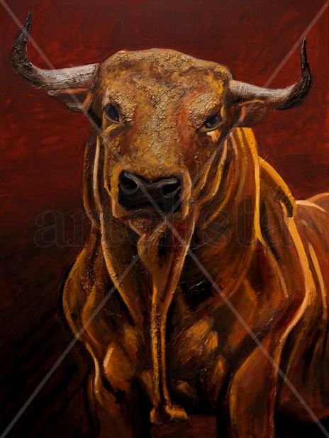 Toro
