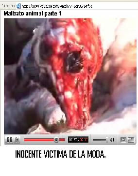 tu amas la moda???