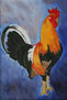 Gallo Elegante