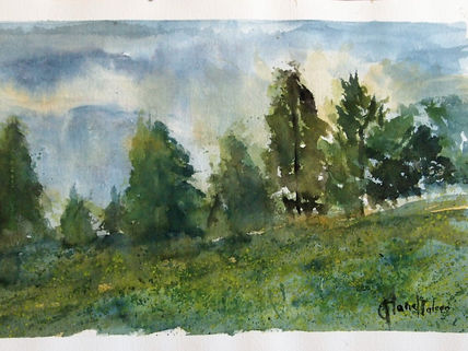 Arboleda