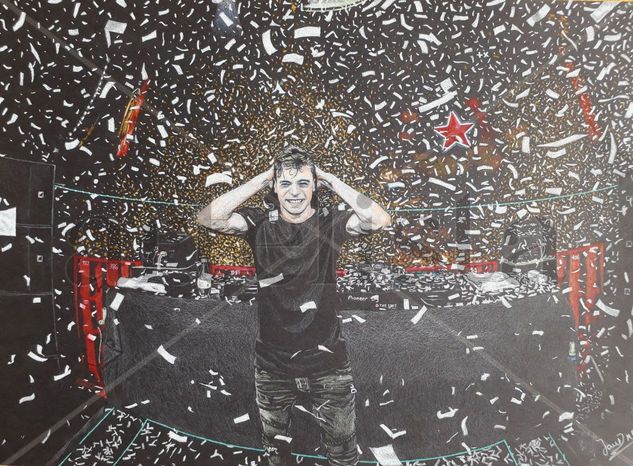 Martin Garrix Others