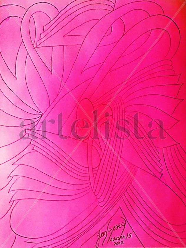 AURORA 15