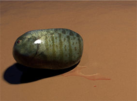 Guijarro