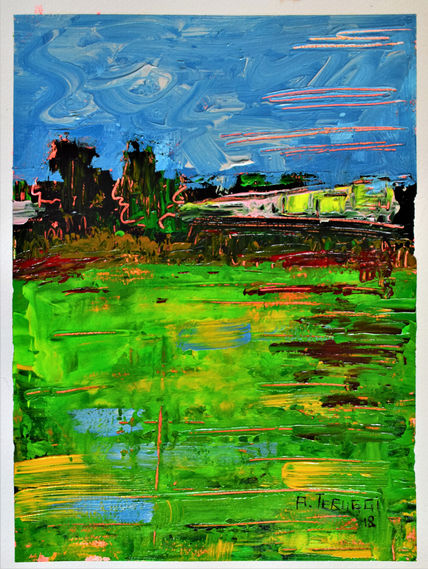 Campo argentino